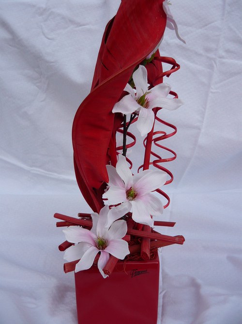 Magnolie v červeném — foto 2