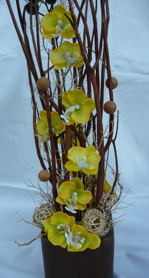 Žlutá orchidea — foto 2