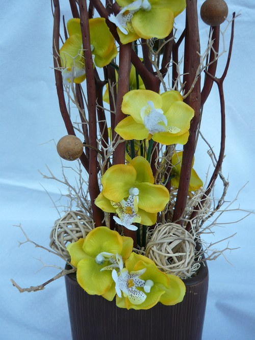Žlutá orchidea — foto 3