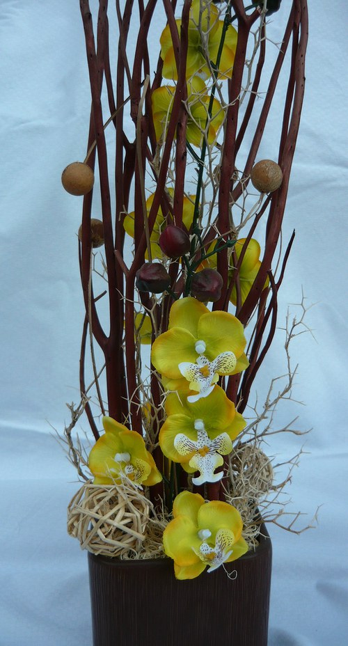 Žlutá orchidea — foto 4
