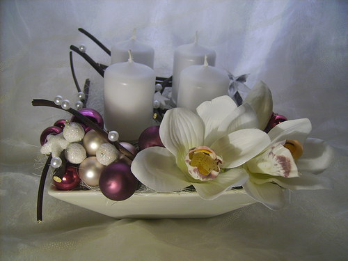Adventní orchidejový — foto 2