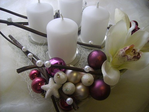 Adventní orchidejový — foto 3