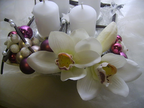 Adventní orchidejový — foto 4