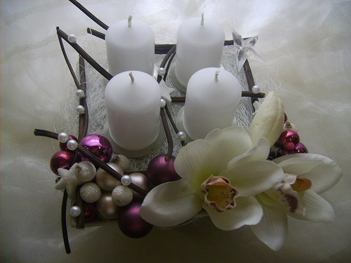 Adventní orchidejový — foto 5