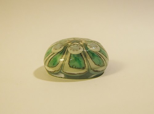 Kabošon tyrkysový — foto 2