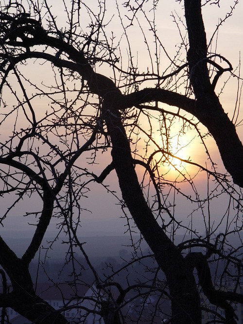 Čepice - hučka BARVY ZIMNÍHO SLUNCE — foto 6