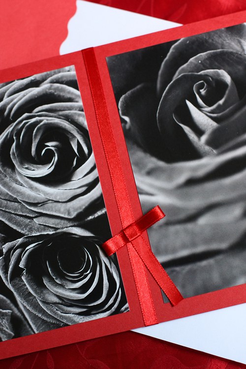 Roses in red-black-white — foto 2
