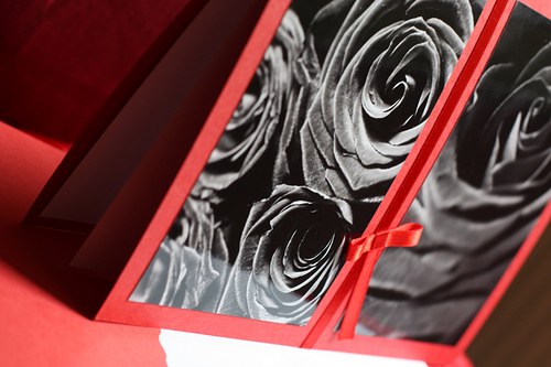 Roses in red-black-white — foto 3