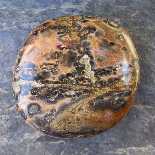 Jaspis Leopardí — foto 2