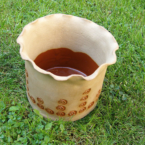 Hnědý květník — foto 2