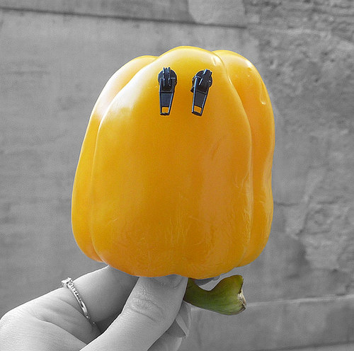 Zipovky — foto 4