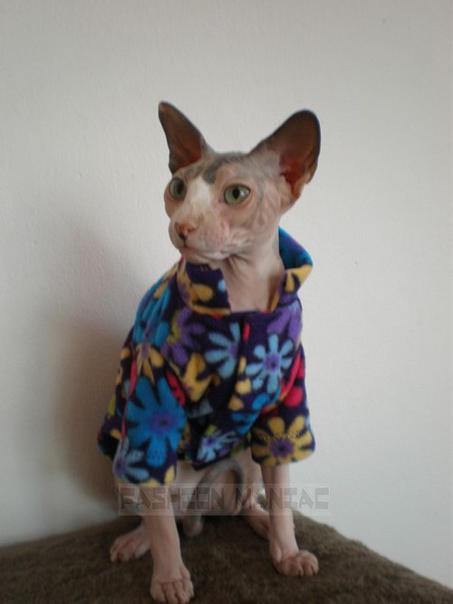 Mikina pro sphynx — foto 4