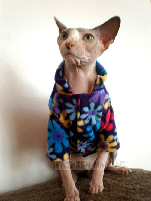 Mikina pro sphynx — foto 5