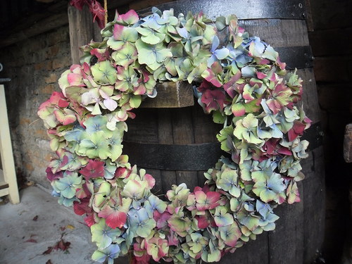 Z hortenzie — foto 2