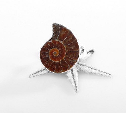 Prstýnek Caracol Negro — foto 2