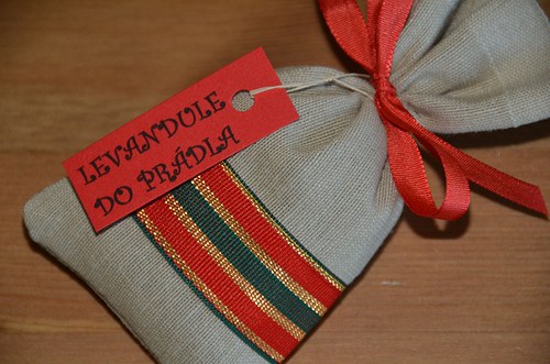 3 x levandule vánoční – pruhovaná — foto 2