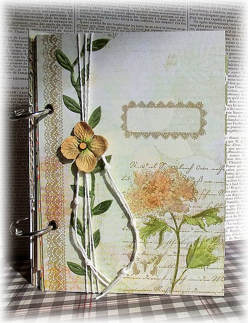 Botanical Journal No. 3 - rezervace — foto 5