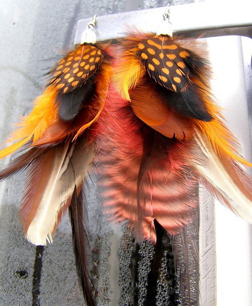 Wild orange — foto 4