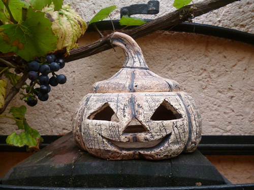 Dýně — foto 2
