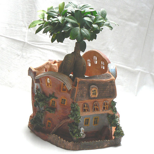 Domek kočičí. — foto 3