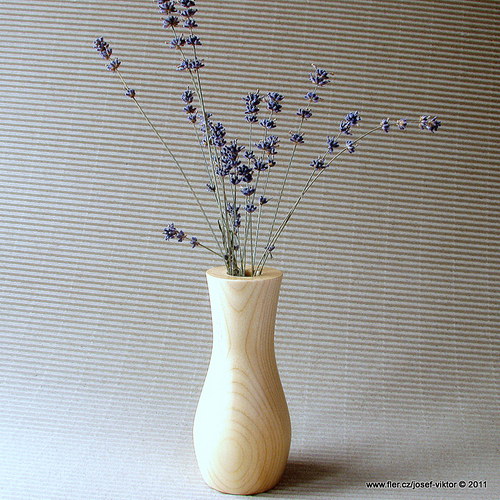 Živa — foto 2