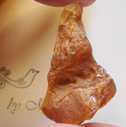 Jantar natural 4 špice — foto 2