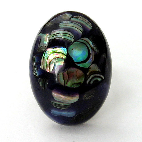 Paua — foto 2