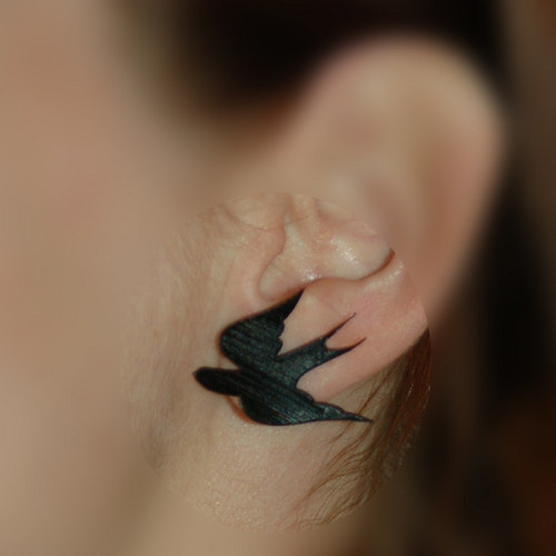 Pecky Swallow — foto 2