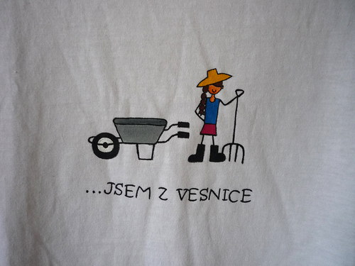 Jsem z vesnice pro dámy:) — foto 2
