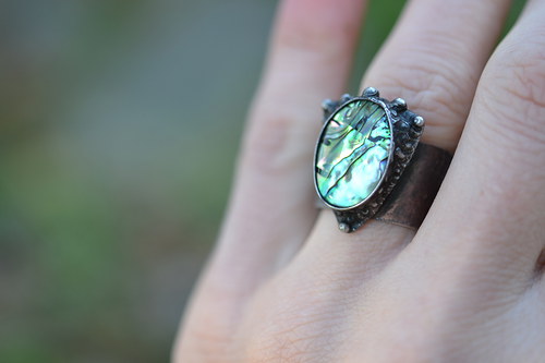 Paua — foto 2
