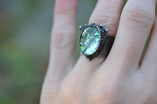 Paua — foto 3
