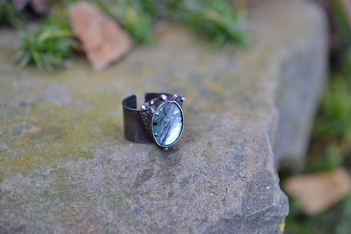 Paua — foto 4