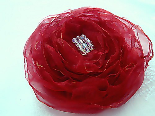 Růže v ranní rose — foto 3