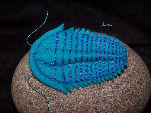 Trilobit-tyrkysový — foto 2