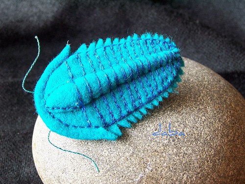 Trilobit-tyrkysový — foto 3