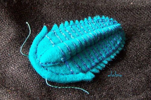 Trilobit-tyrkysový — foto 4