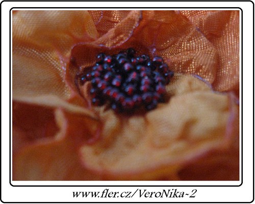 Výrazná — foto 3