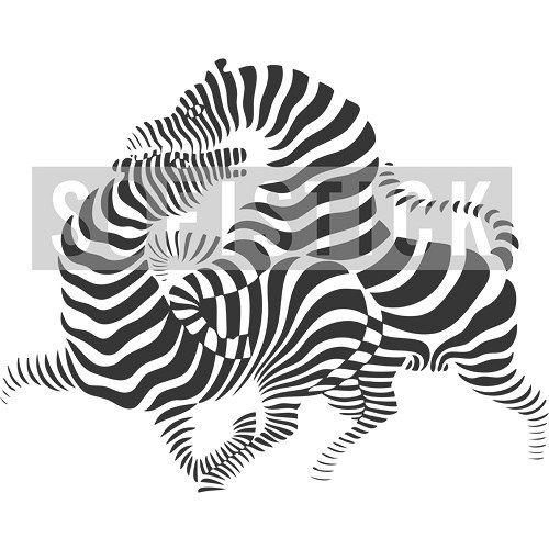 Zebry od victora vasarelyho — foto 2