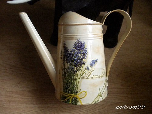 Levandule — foto 3