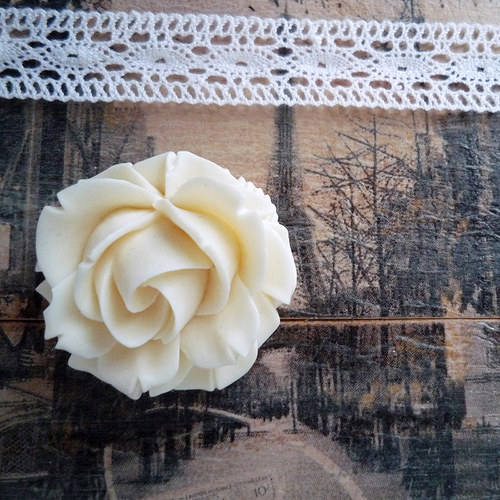 Rose de Paris Créme — foto 6