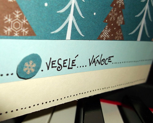 Vánoční zasněžené přání — foto 3