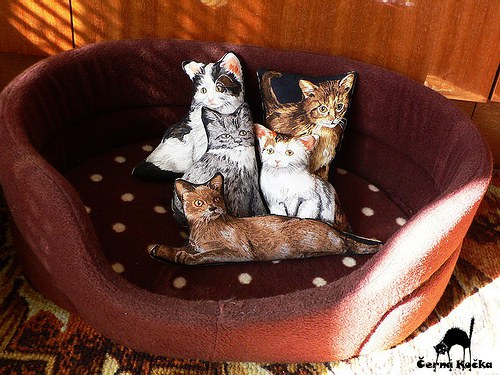 Levandulové kočičky (sada) — foto 5