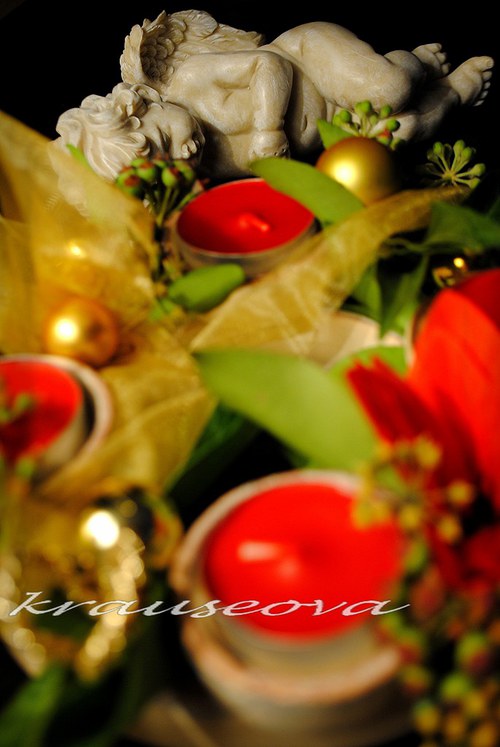 Adventní věneček 1..2..3.. — foto 6