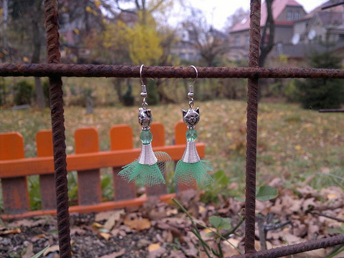 Kočičí víly zelinky — foto 2