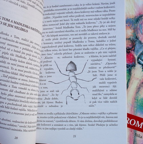 Kniha Strom snů — foto 4