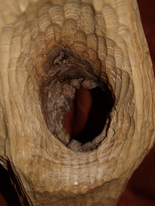 Solitérní — foto 2