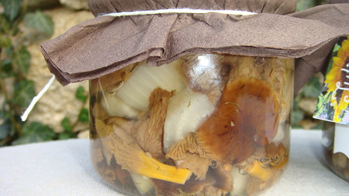 Houbátka,víceméně podzimní. — foto 2