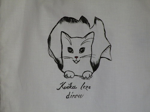 Kočka.. leze dírou — foto 2
