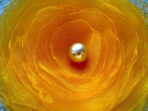 Podzim IV. — foto 3