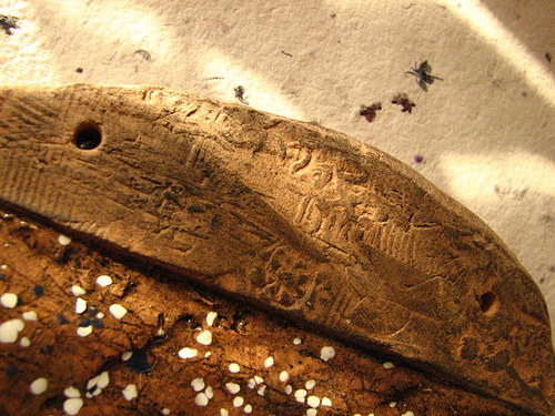 Obrázek praryba v 11,5 š 12 cm — foto 3